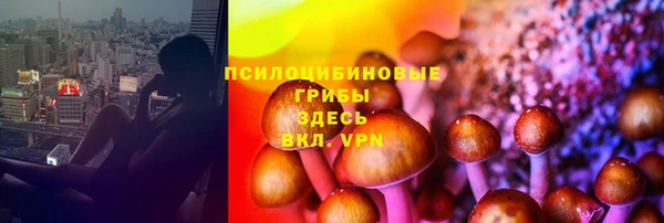 кристаллы Покачи