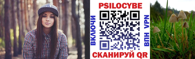 Купить  Добрянка  Псилоцибиновые грибы GOLDEN TEACHER 